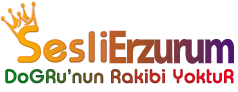 SesLiERZURUM.Com, SesliChat, SesliSohbet, SesliSiteler